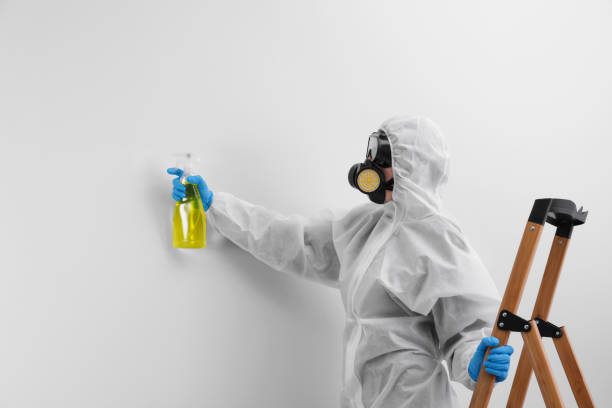 Why You Should Choose Our Mold Remediation Services in Kennedy, CA